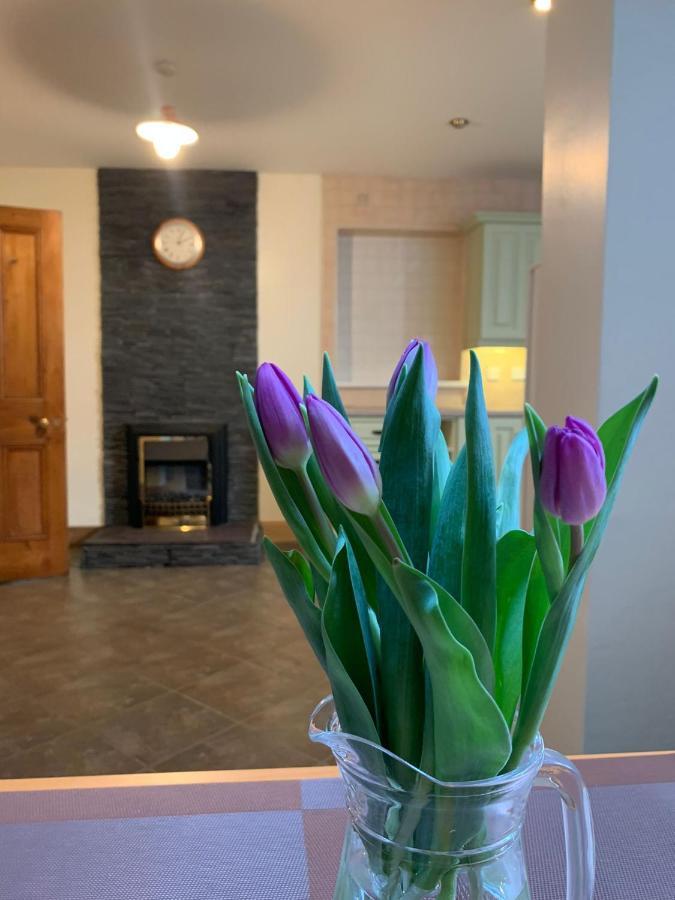 Ringfort Manor Rathfriland Exteriér fotografie